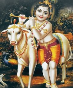 Krishna Images For Wallpaper with gai (Cow)